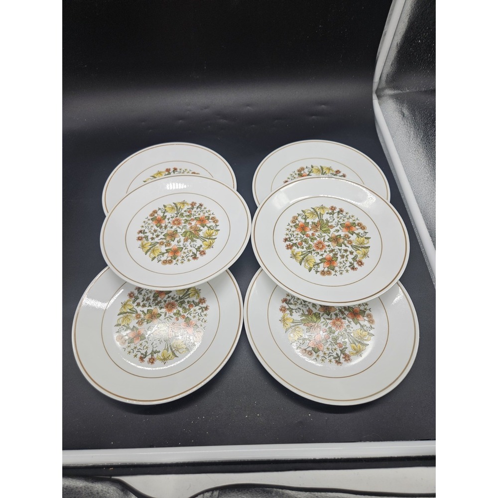 6 CORELLE INDIAN SUMMER Luncheon or Salad PLATES    8 1/2"
